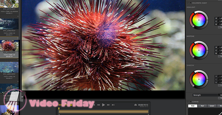 Video Friday: Bulletproof revolutionizing Media Management?